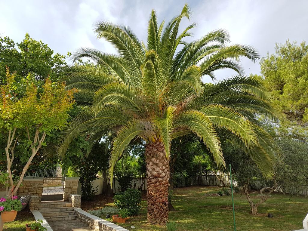 Villa Rosa With Yard And Children'S Playground Tar-Vabriga Buitenkant foto