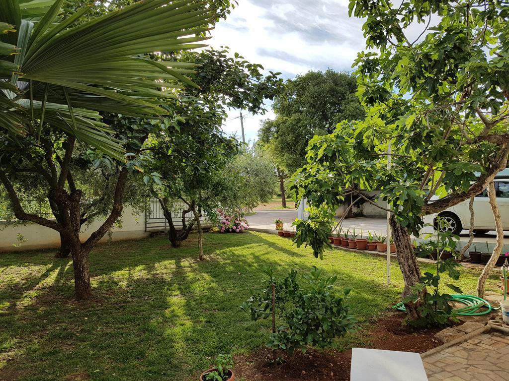 Villa Rosa With Yard And Children'S Playground Tar-Vabriga Buitenkant foto