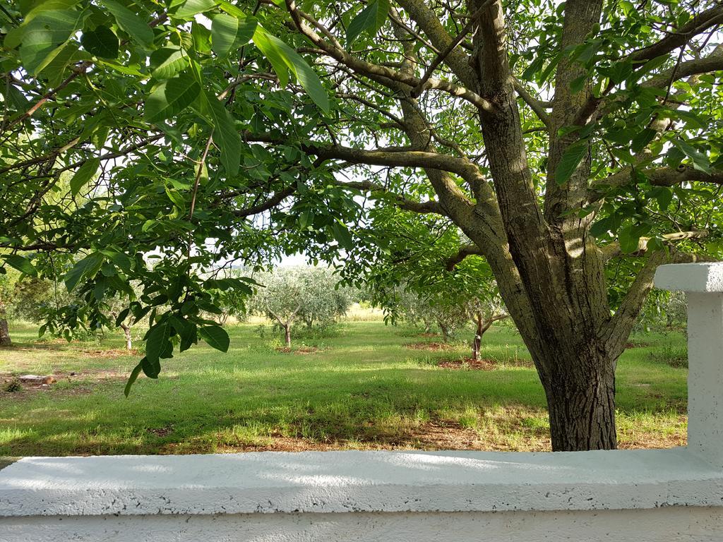 Villa Rosa With Yard And Children'S Playground Tar-Vabriga Buitenkant foto