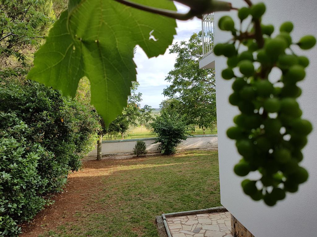 Villa Rosa With Yard And Children'S Playground Tar-Vabriga Buitenkant foto