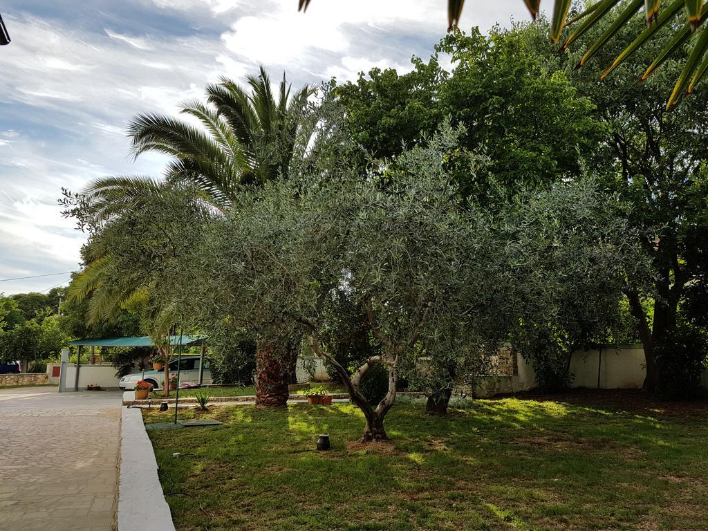 Villa Rosa With Yard And Children'S Playground Tar-Vabriga Buitenkant foto